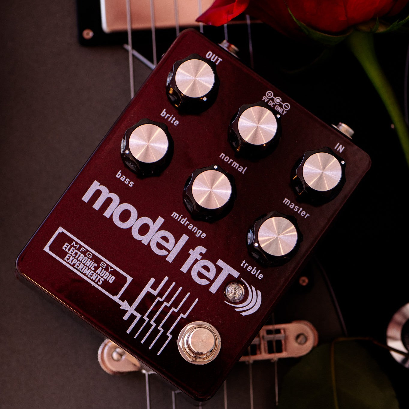 Model-FeT (dragons Blood)