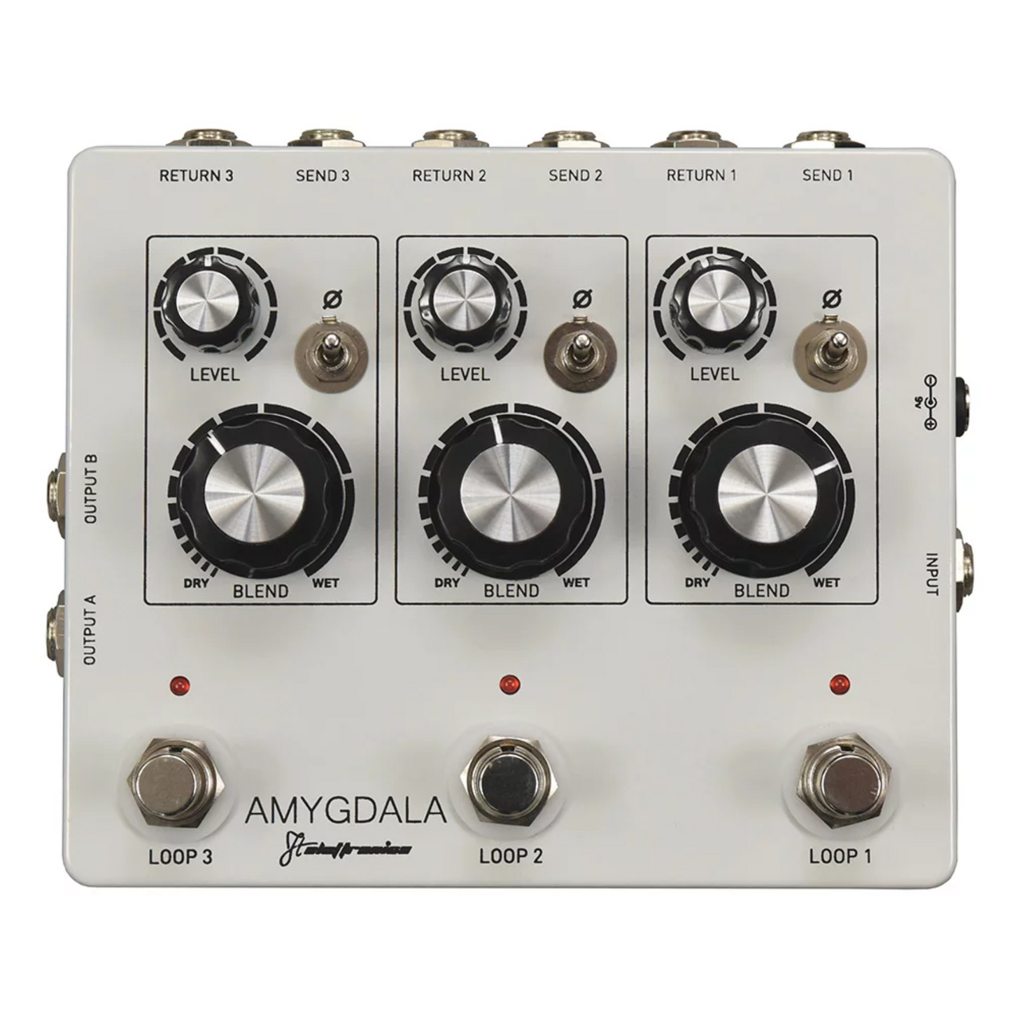 Amygdala