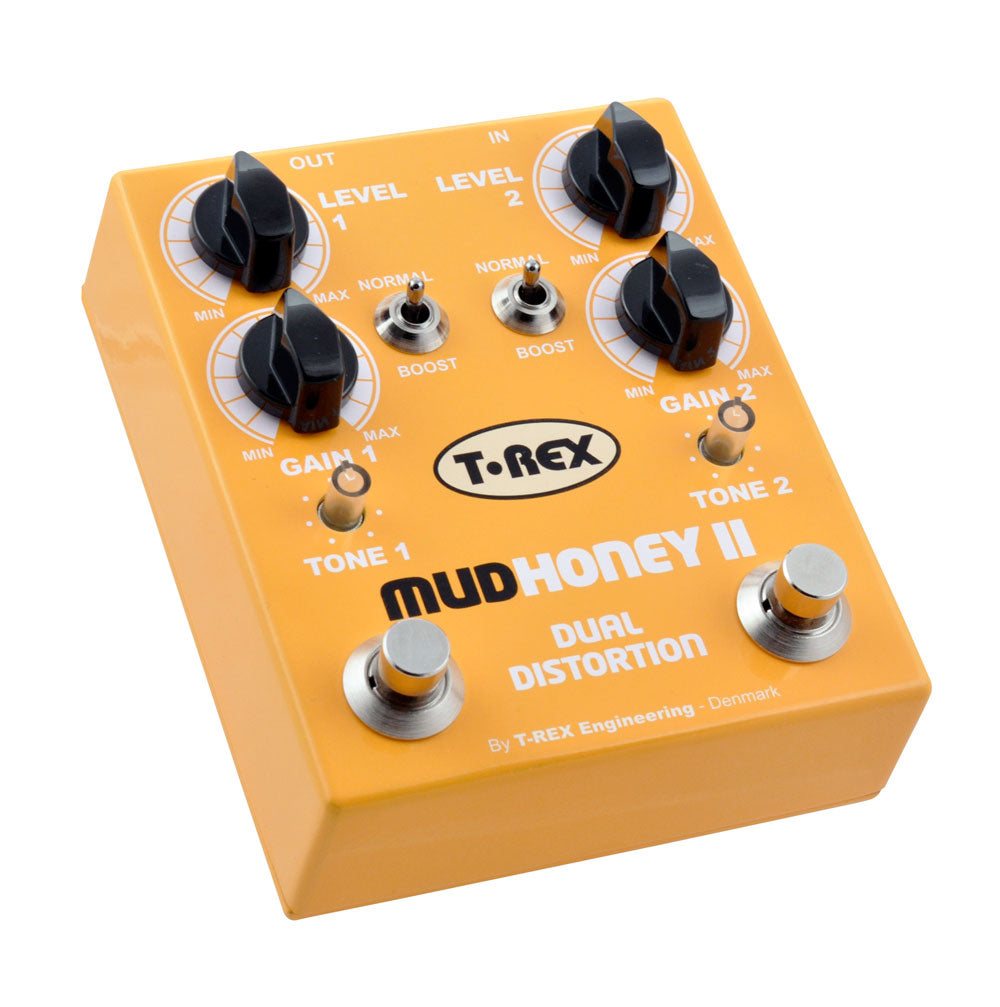 Mudhoney 2