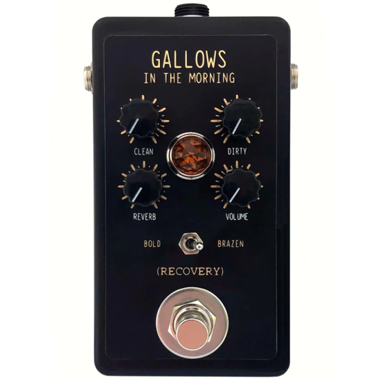 Recovery Effects and Devices Gallows in The Morning Boutique Reverb Pedal