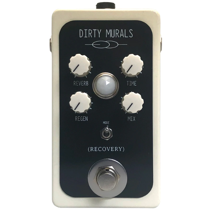 Dirty Murals Boutique Reverb Delay Pedal