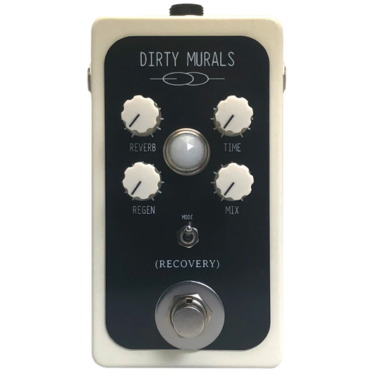 Dirty Murals Boutique Reverb Delay Pedal