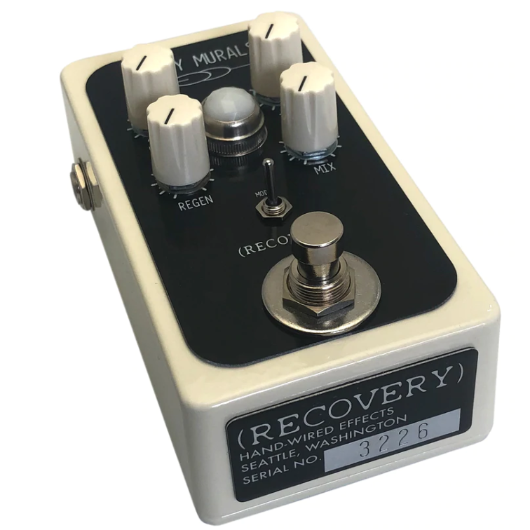 Dirty Murals Boutique Reverb Delay Pedal