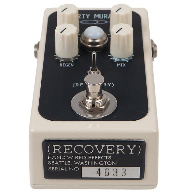 Dirty Murals Boutique Reverb Delay Pedal
