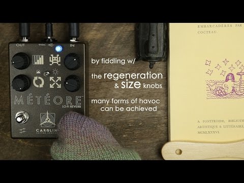 Caroline Guitar Company Meteore Boutique Delay Pedal Demo Video