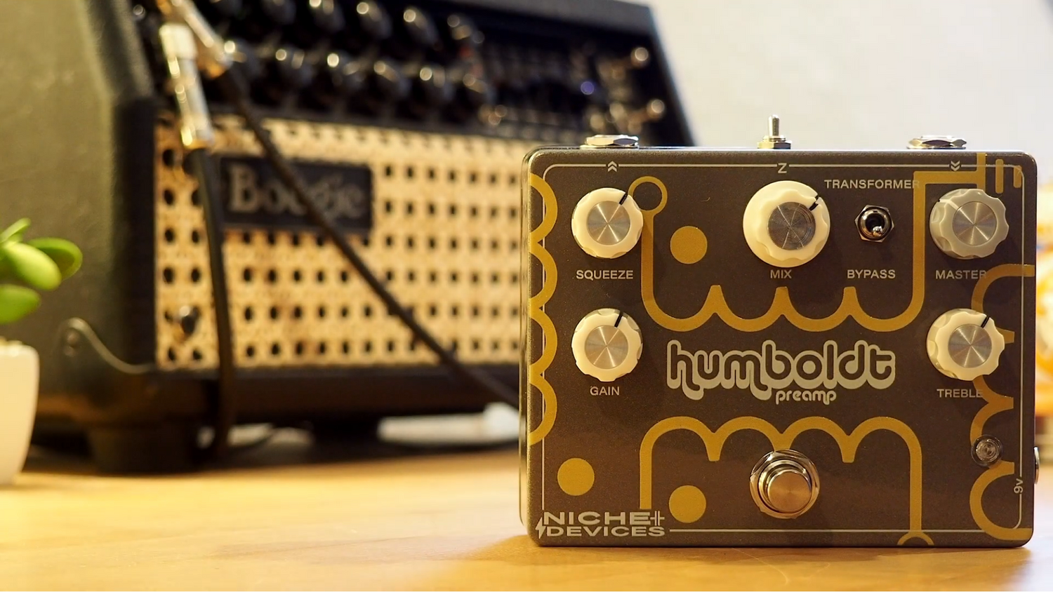 Niche Devices