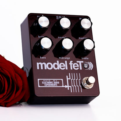 Model-FeT