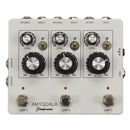 Amygdala