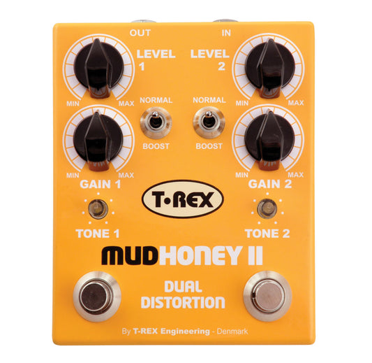 Mudhoney 2