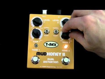 Mudhoney 2