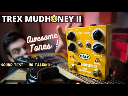Mudhoney 2