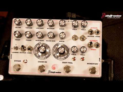 Schumann PLL