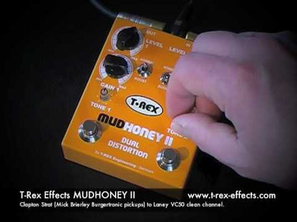 Mudhoney 2