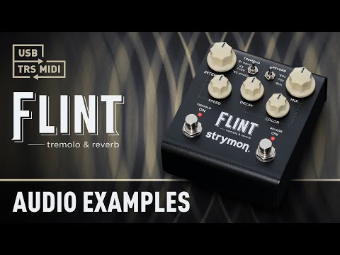 strymon flint expression pedal Flint V2 – Sound Shoppe nyc