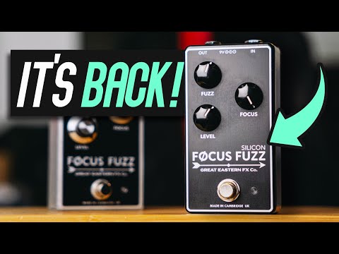 Focus Fuzz Silicon – Sound Shoppe nyc