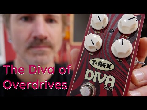 T-rex Diva drive オーバードライブ Diva Drive – Sound Shoppe nyc