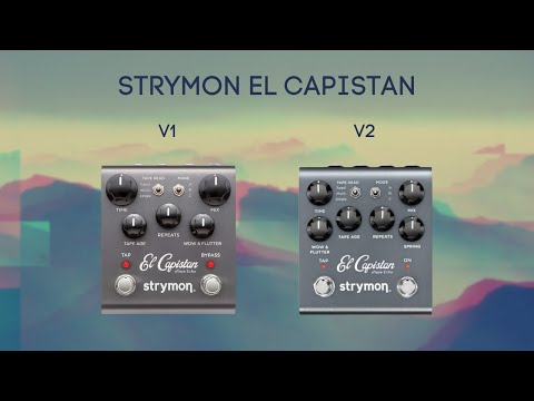 【在庫低価】El Capistan Strymon ギター