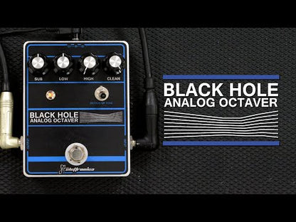 Blackhole Analog Octaver