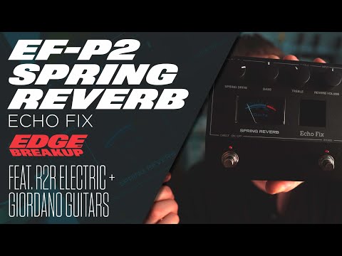 echo fix ef-p2 spring reverb pedal EF-P2 – Sound Shoppe nyc