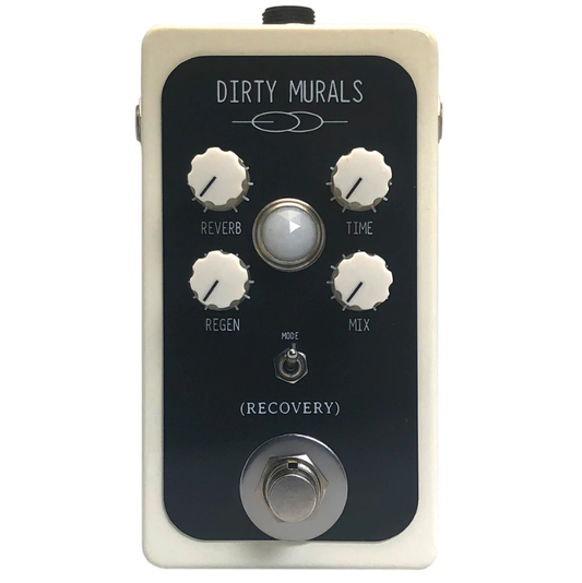  Dirty Murals Boutique Reverb Delay Pedal