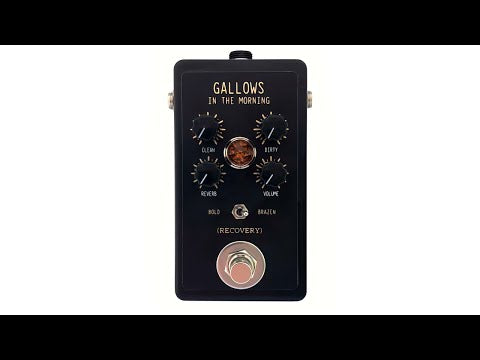Recovery Effects and Devices Gallows in The Morning Boutique Reverb Pedal Demo Video
