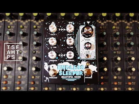 Beautiful Noise Effects Endless Sleeper Boutique Delay Pedal  Demo Video